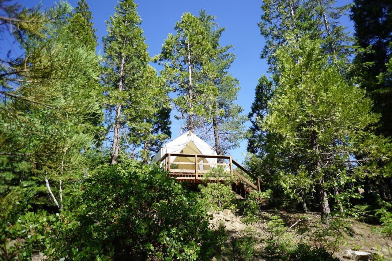 Shaver Lake Village Hotel Bagian luar foto